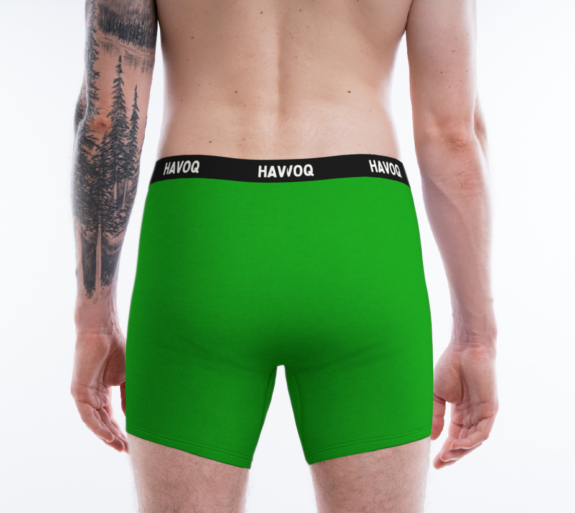 He/Him Pronouns Sweet Green Boxer Briefs by Havoq