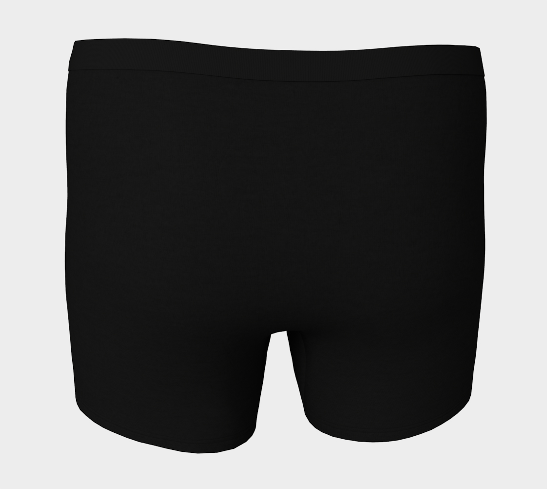 They/Them, She/Her (if I say so) bulge Pronouns Boxer Briefs