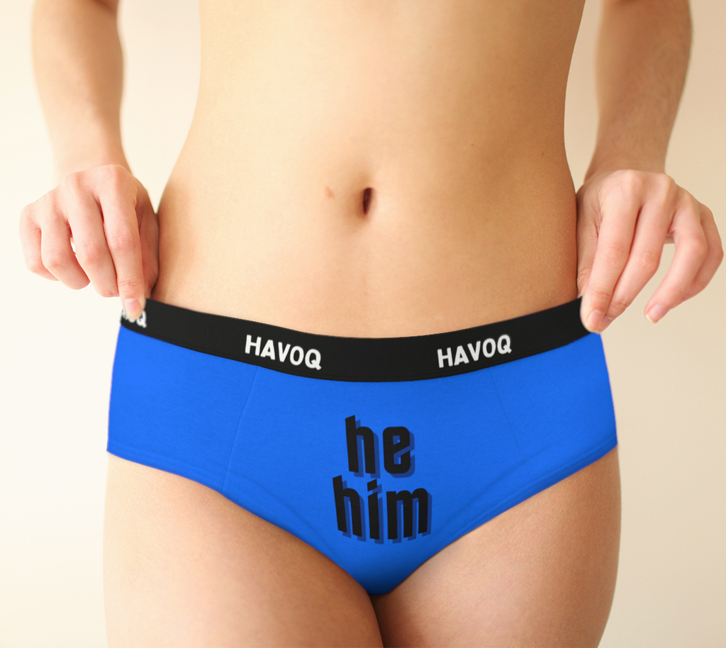 He/Him Pronouns Geometric Blue Cheeky Briefs by Havoq