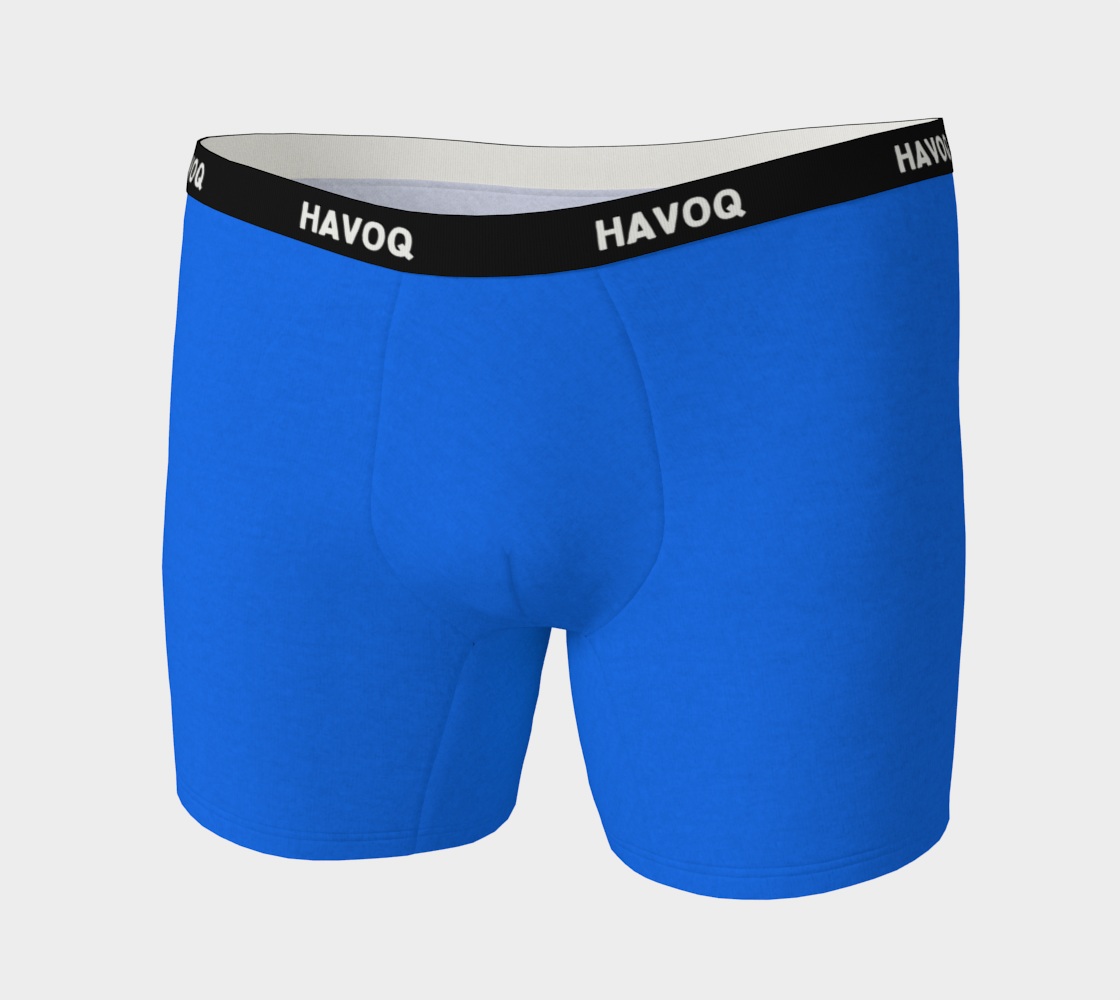 She/Her Pronouns Geometric Blue Boxer Briefs by Havoq