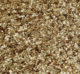 FINE WARM GOLD COMPOSTABLE glitlicker eco-friendly compostable glitter