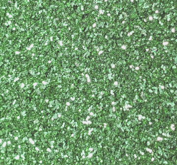 FINE EMERALD GREEN COMPOSTABLE glitlicker eco-friendly compostable glitter